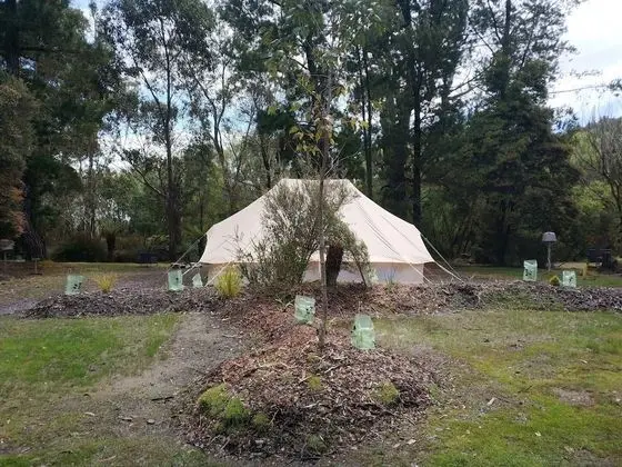 Zeehan Bush Camp - Dış Mekan