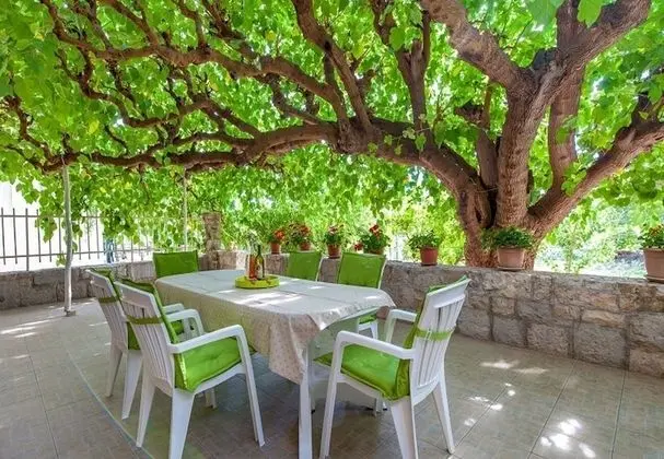 Zeljka - 60 m From sea - H