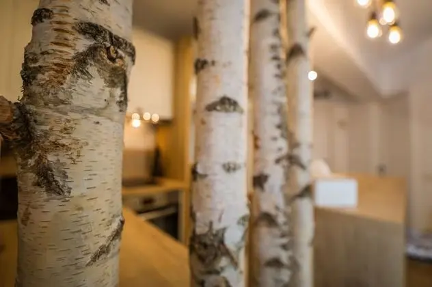 Zen Alpin Studio - İç Mekan