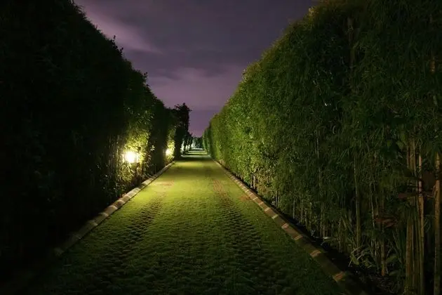 Zen Villa Bali - Dış Mekan