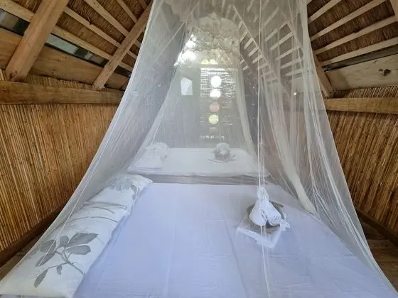 Zen Tierras Farm by Cocotel - Oda