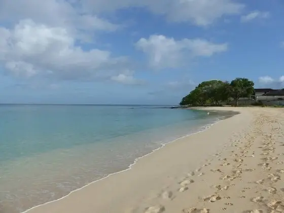 Zenbreak Freshwater Beachfront 5