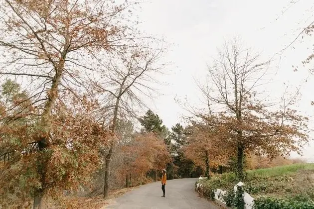 Zevenwacht Wine Estate - Dış Mekan