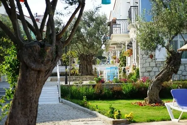 Zeytin Arası Taş Evler - Bahçeler