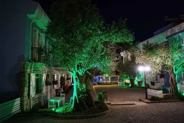 Zeytin Arası Taş Evler - Gece Görünümü