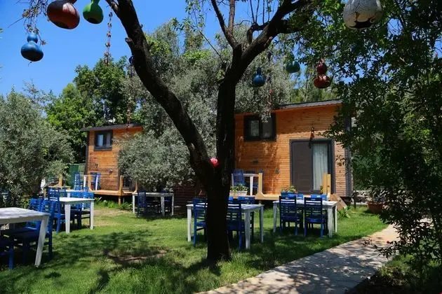 Zeytin Dalı Butik Otel Beach - Bar