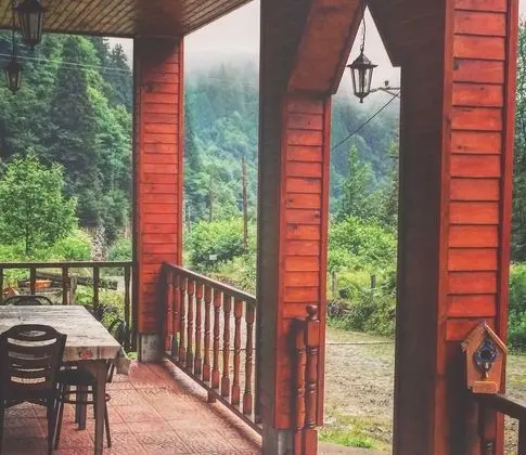 room views