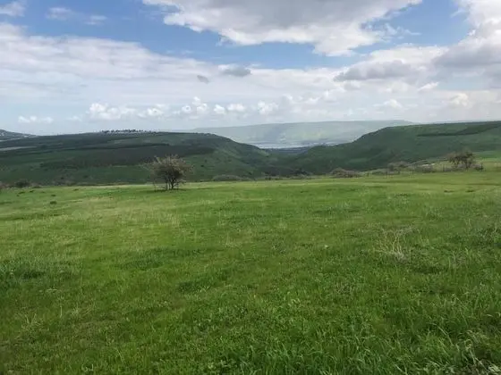 Zimmer BaSadot - Dış Mekan