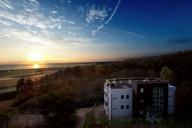 Zio Resort