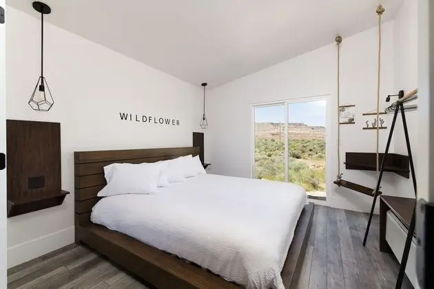 Zion Wildflower - Oda