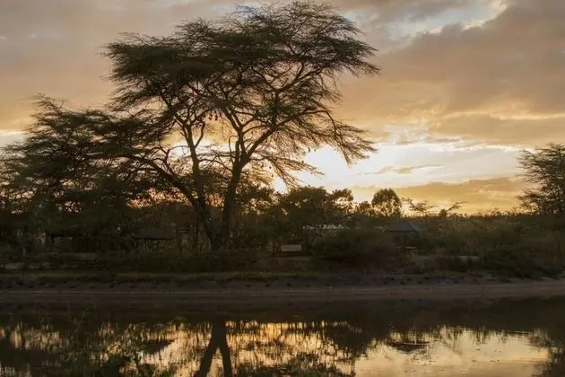 Ziwa Bush Lodge