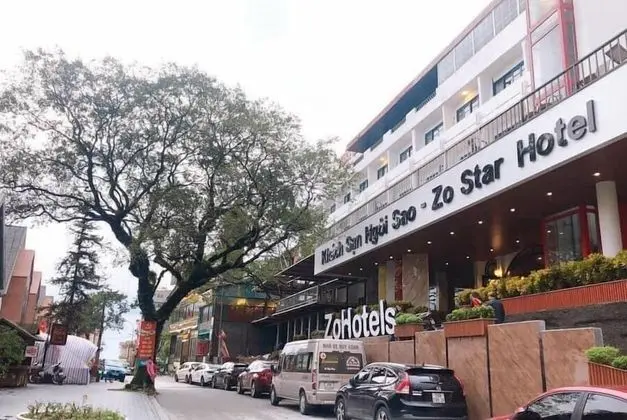 ZO Star Tam Dao