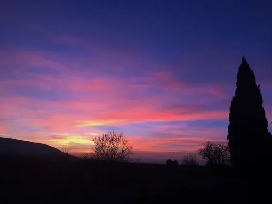 Zocalo Ranch - Öne Çıkan Resim