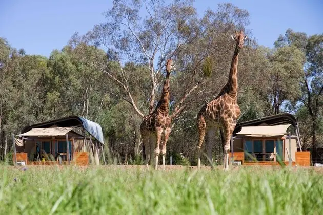 Zoofari Lodge
