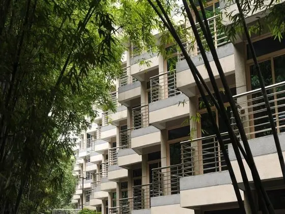 ZTE Hotel Shenzhen - Genel