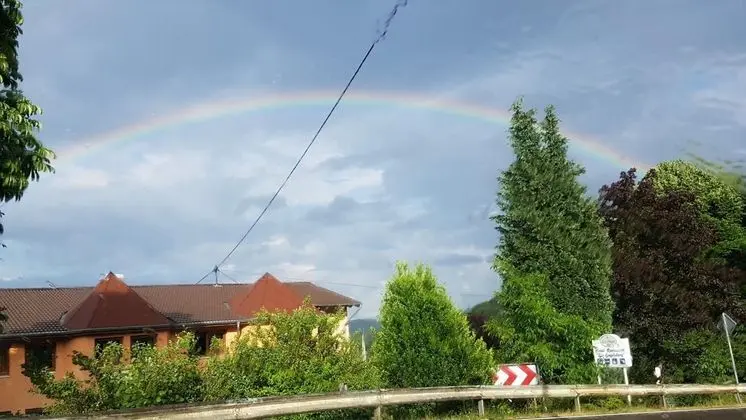 Hotel zur Engelsburg - Dış Mekan