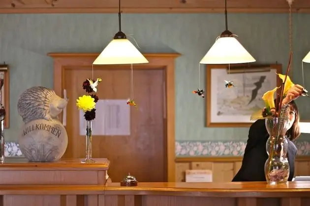 Hotel Zur Igelstadt - Lobi