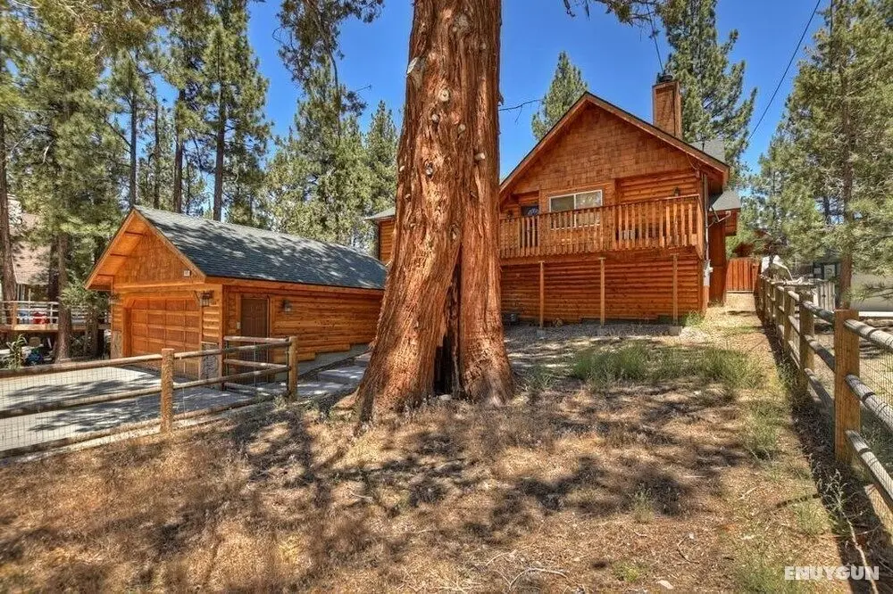 007 - The Log Cabin Getaway - Öne Çıkan Resim