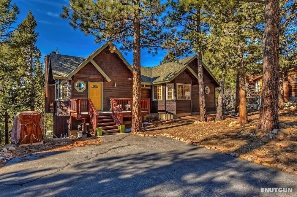 025 - Pacific Crest Trail Cabin - Öne Çıkan Resim