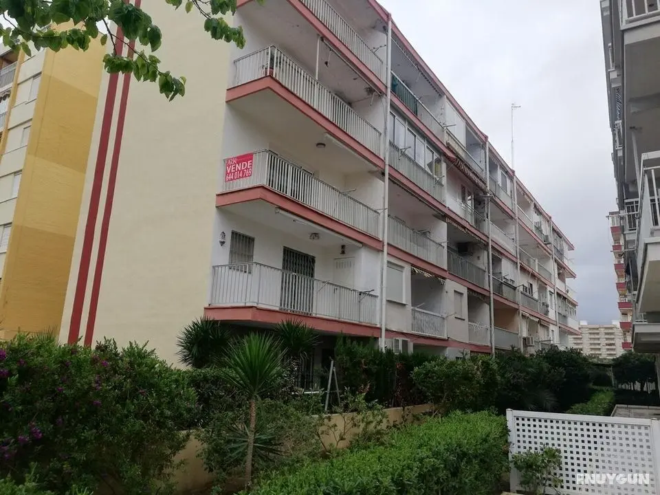 1.estudios Solmar Esc. 4 1º pta 4 - Dış Mekan