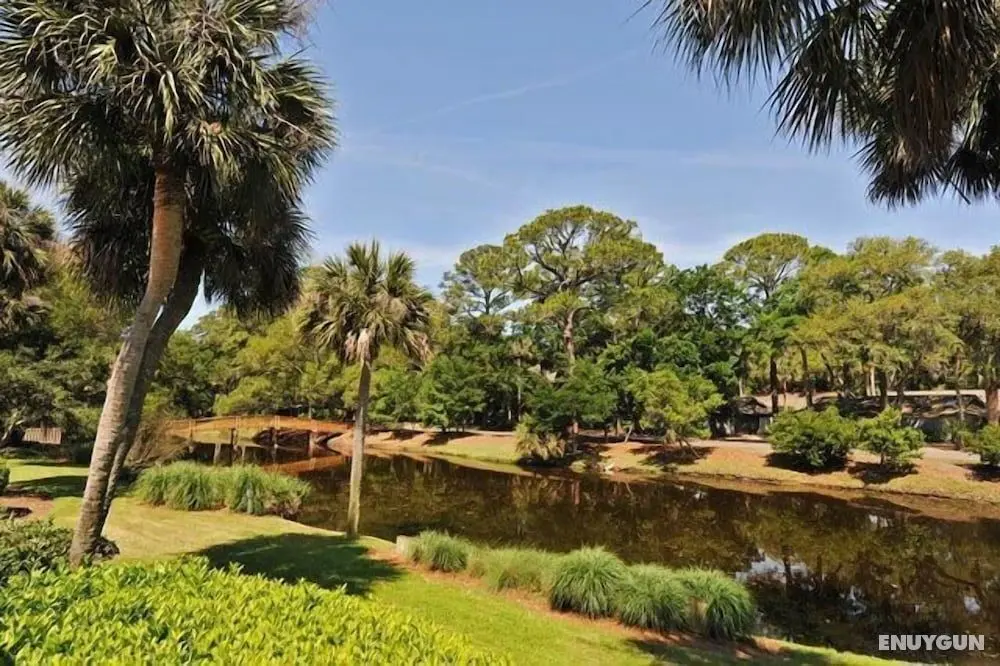 11 Turtle Lane at The Sea Pines Resort - Öne Çıkan Resim