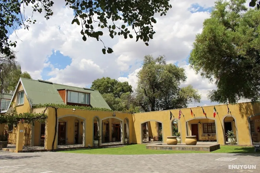 17 on Bird Guest House - Öne Çıkan Resim