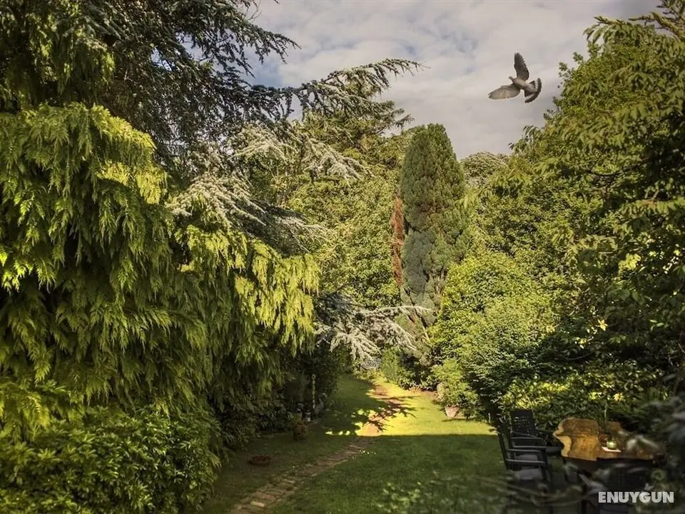 24 Ward Avenue - Öne Çıkan Resim