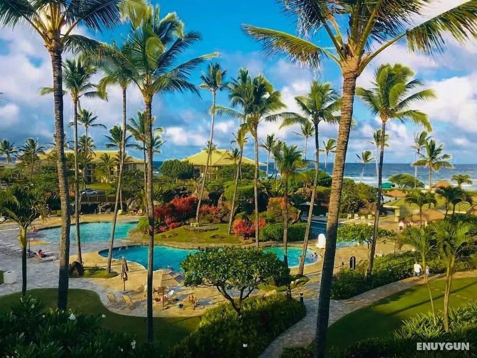 2417 at Lihue Oceanfront Resort - Öne Çıkan Resim