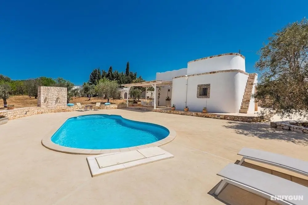 2530 Trullolive by Perle di Puglia - Öne Çıkan Resim