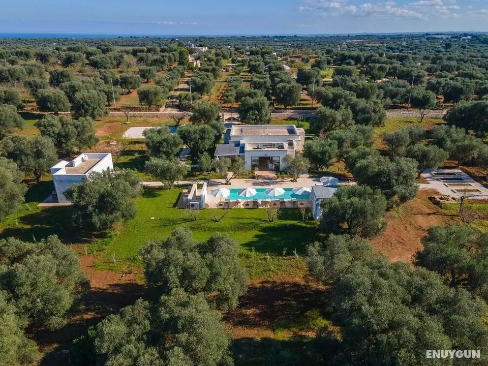 3153 Casa Diora by Perle di Puglia - Dış Mekan