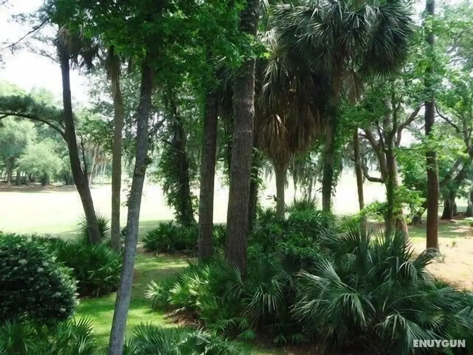 471 Plantation Club at The Sea Pines Resort - Dış Mekan