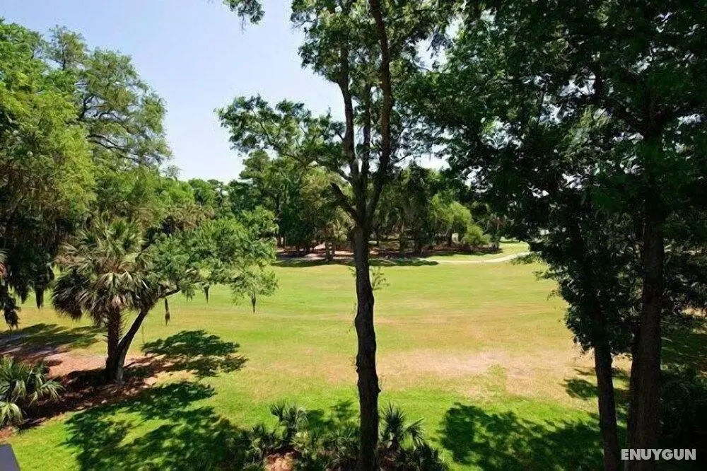 481 Plantation Club at The Sea Pines Resort - Dış Mekan