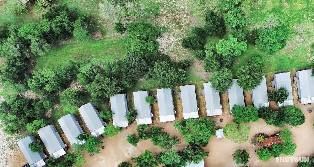 5 Son's Geronimo - Birdhouse Cabin - Dış Mekanlar
