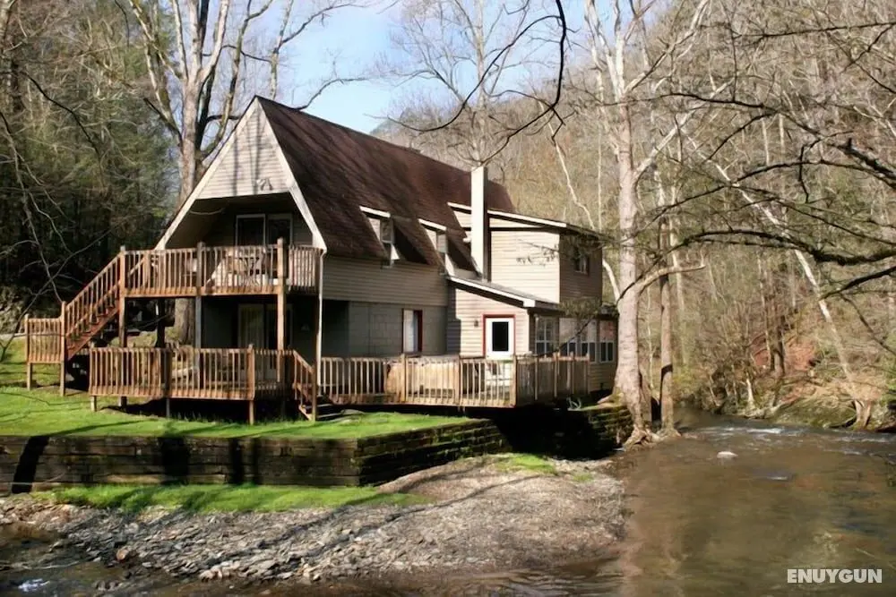 532brooktroute321ncb - Brook Trout Chalet - Öne Çıkan Resim