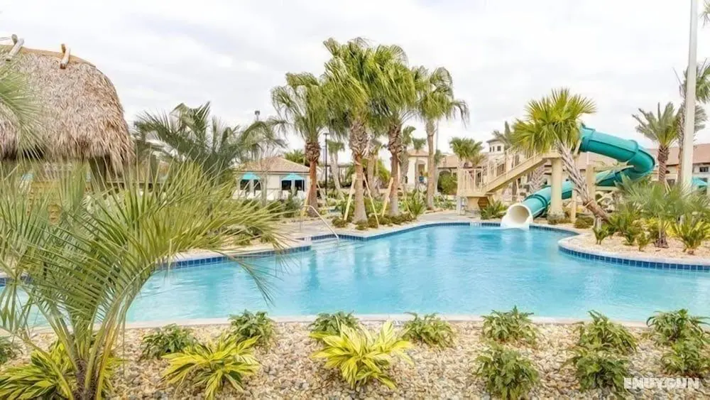 5BR 4.5BA Pool Home In ChampionsGate - Havuz