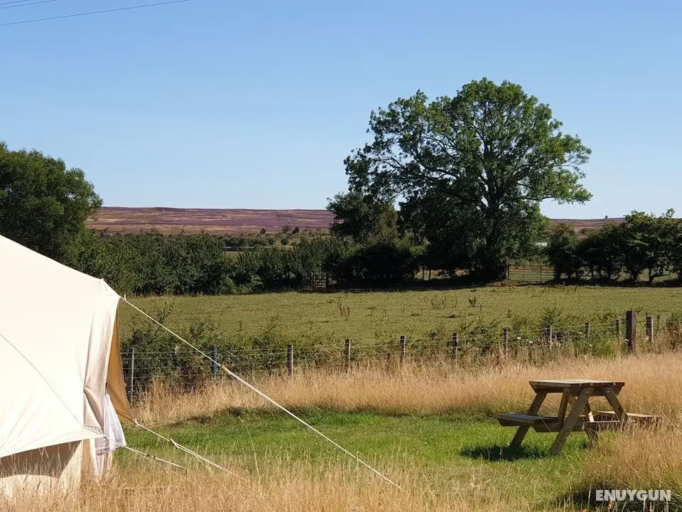 6m Bell Tent With log Burner, Located Near Whitby - Dış Mekan