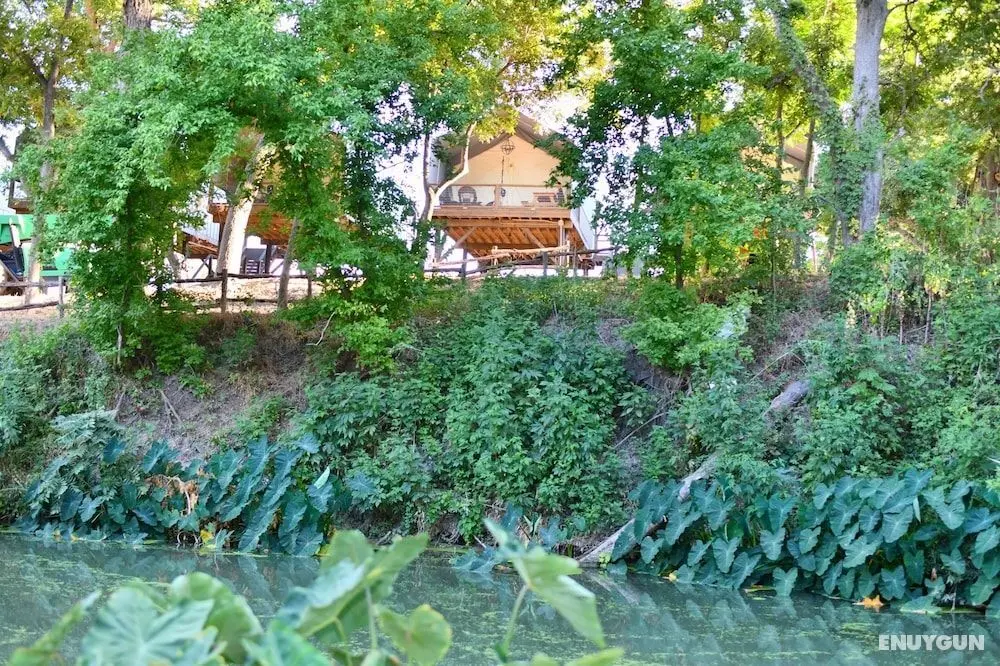 9 Son's Rio Cibolo - Birdhouse Cabin - Öne Çıkan Resim