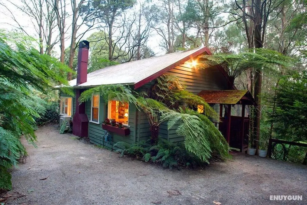 A Cottage in the Forest - Öne Çıkan Resim