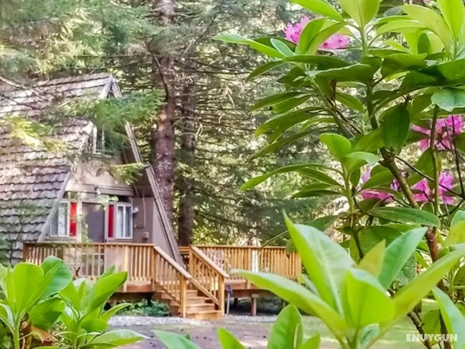 A-frame of Mind Retreat - Dış Mekan