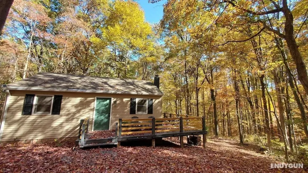 A Humble Abode Cabin - A Modern Woodsy Retreat - Öne Çıkan Resim