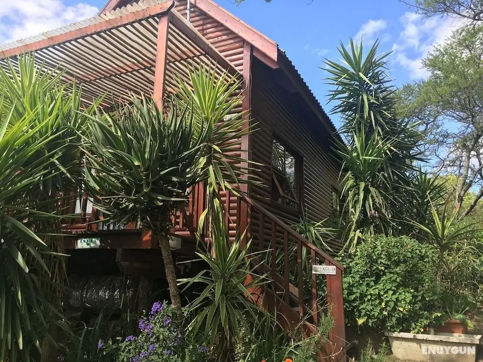 A Stone's Throw Accommodation - Dış Mekan