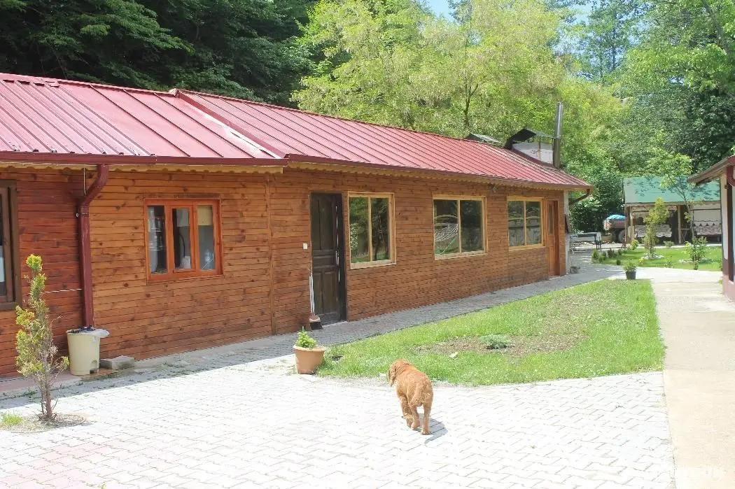 Abant Paşa Pansiyon - Dış Mekan