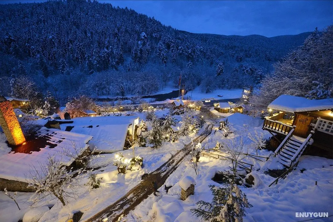Abant Yesil Ev Masal Evleri - Genel