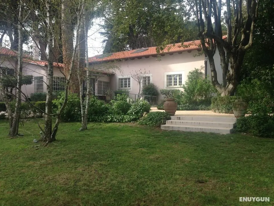 Villa Abbamer - Dış Mekan