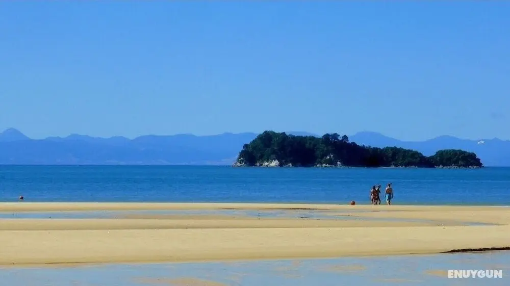Abel Tasman Marahau - Su Üzeri Aktiviteler