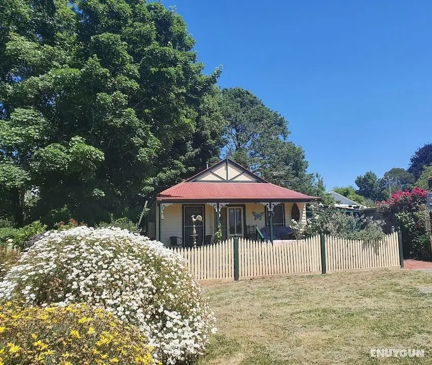 Abelia Cottage of Daylesford Botanical - Öne Çıkan Resim
