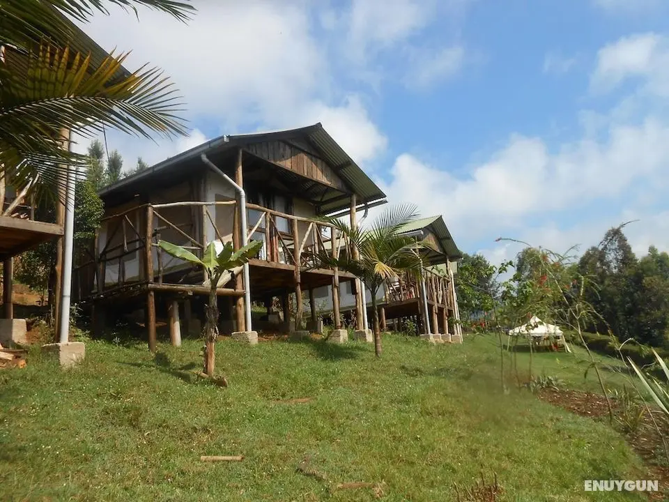 Aberdare Cottages & Fishing Lodge - Öne Çıkan Resim