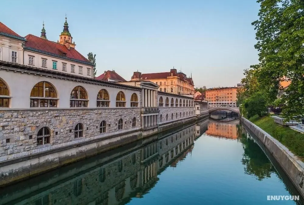 Above Ljubljanica River Apartment - Havuz