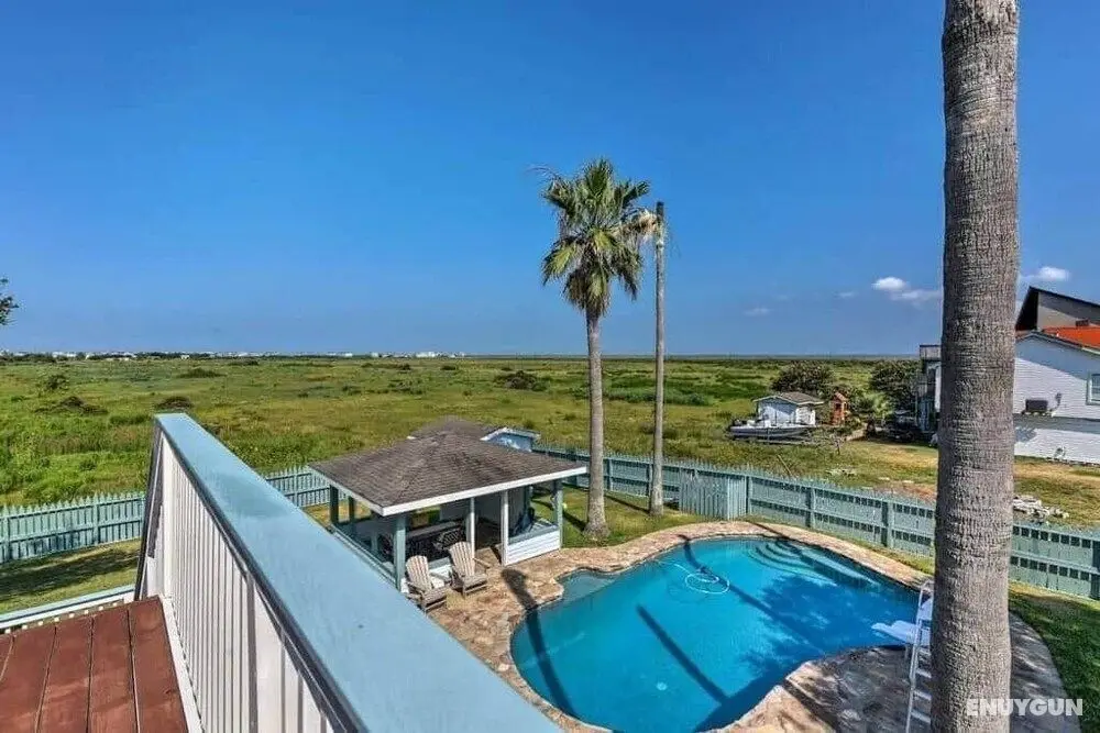 Absolute Paradise Galveston - Oda Düzeni