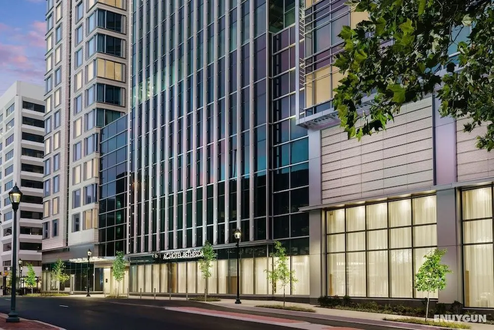 AC Hotel by Marriott Bethesda Downtown - Öne Çıkan Resim